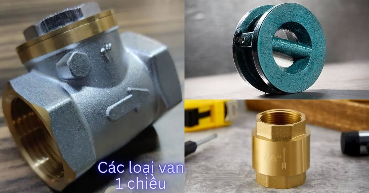 các loại van 1 chiều lá lật