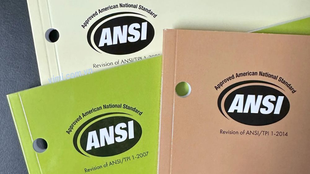 cách thức hoạt động của tiêu chuẩn ansi