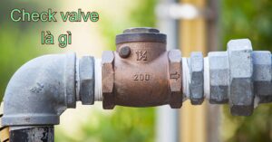 check valve là gì