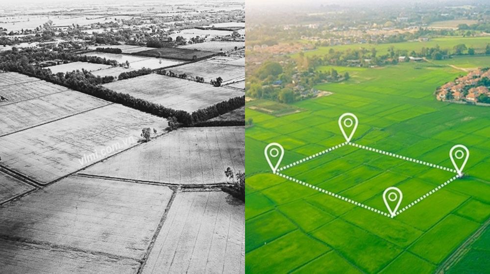 đơn vị đo diện tích xưa