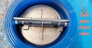 dual plate check valve là gì