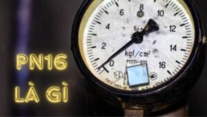 pn16 là gì