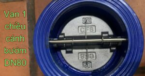 van 1 chiều cánh bướm dn80