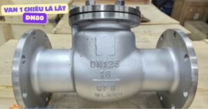 van 1 chiều lá lật dn125