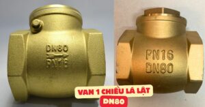 van 1 chiều lá lật dn80