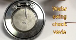 wafer swing check valve là gì