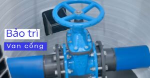 bảo dưỡng van cổng