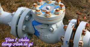 van 1 chiều tiếng anh là gì