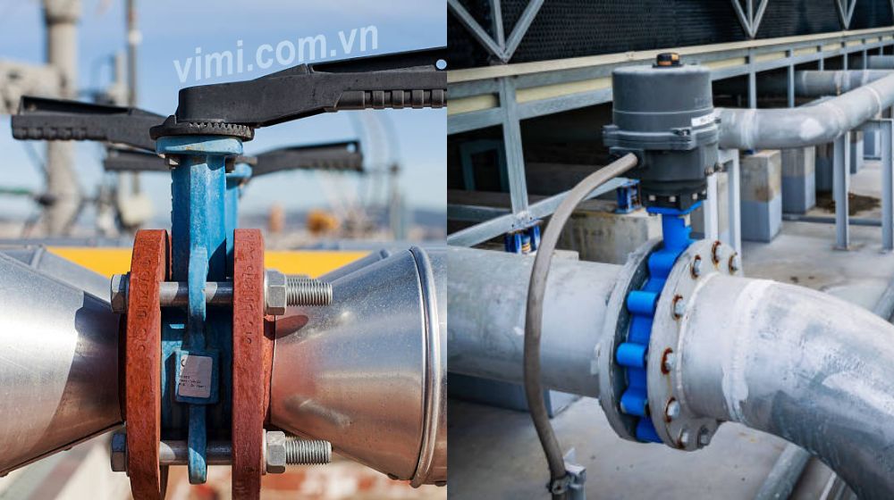 van bướm tai bích