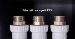 đầu nối ren ngoài ppr