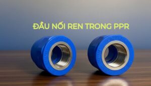 đầu nối ren trong ppr