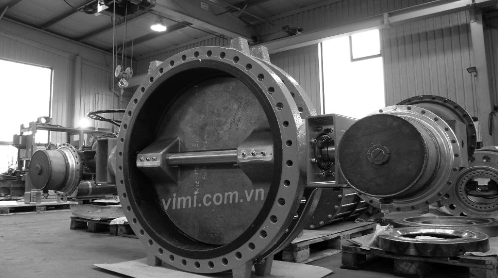 đôi nét về lịch sử van bướm
