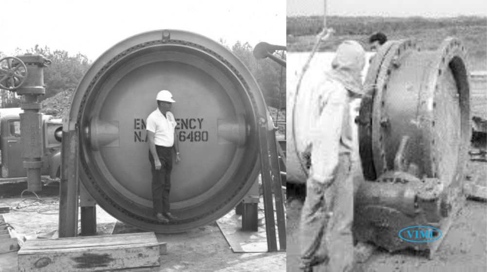 lịch sử van bướm