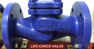 lift check valve
