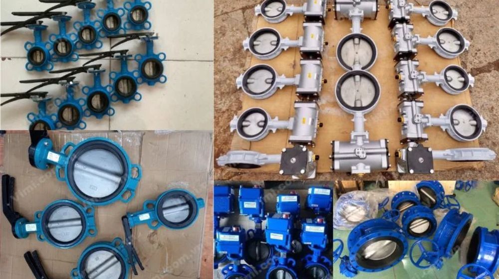 mua van bướm tại Hà Nội Hồ Chí Minh