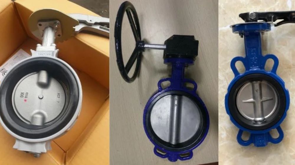 mua van bướm tại Hà Nội