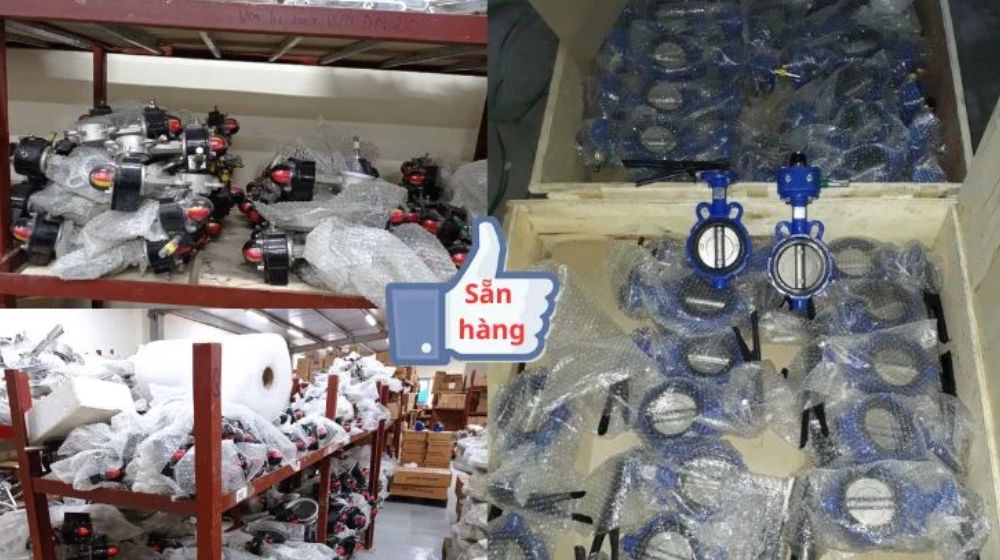 mua van bướm tại Hồ Chí Minh qua vimi