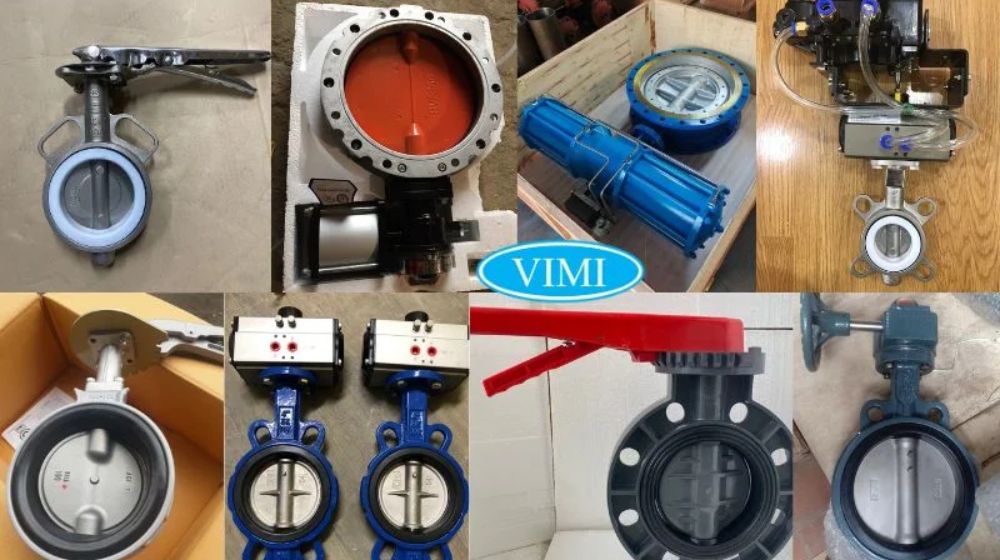 mua van bướm tại Hồ Chí Minh