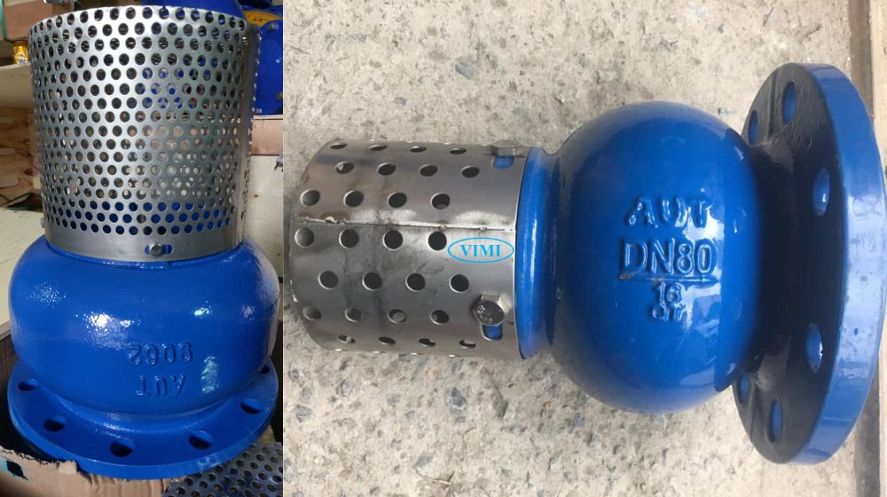 rọ bơm mặt bích aut