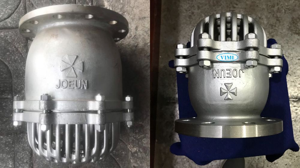 rọ bơm mặt bích joeun