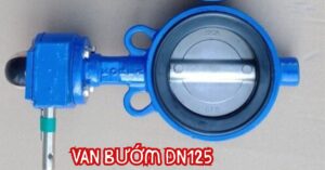van bướm dn125
