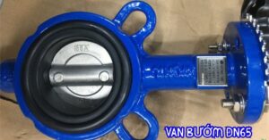 van bướm dn65