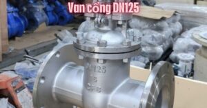 van cổng dn125