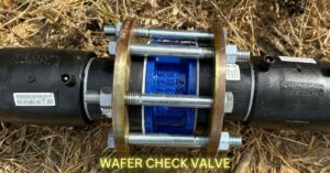wafer check valve