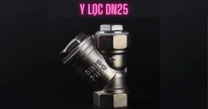 y lọc dn25