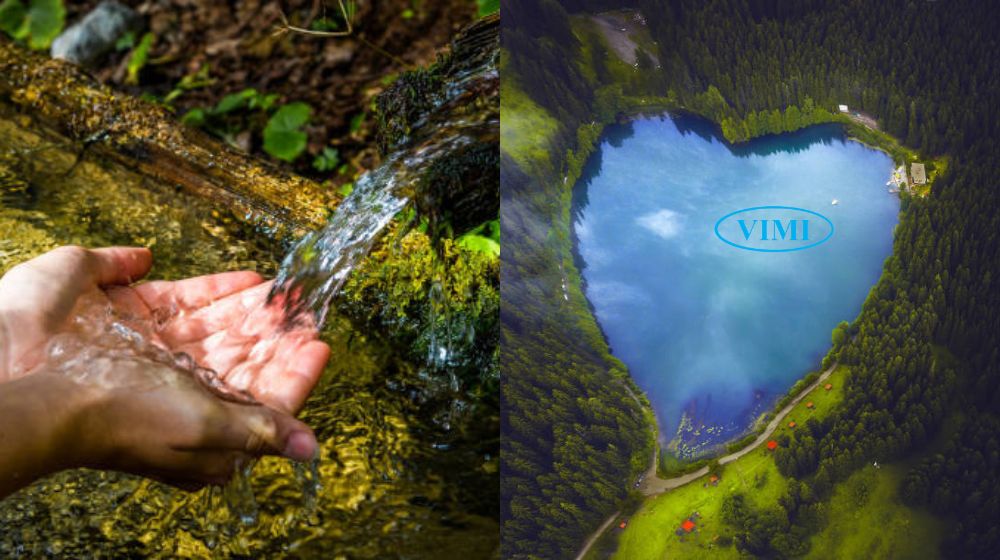 Các loại nước ngọt phổ biến nhất Việt Nam các loại nước ngọt tự nhiên