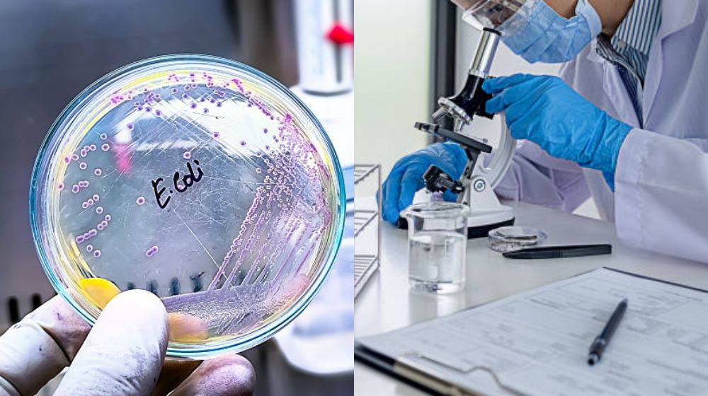 Nước sạch là gì - Thế nào là nước sạch chỉ tiêu đánh giá nước sạch