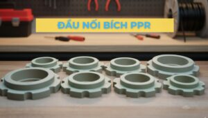 đầu nối bích ppr