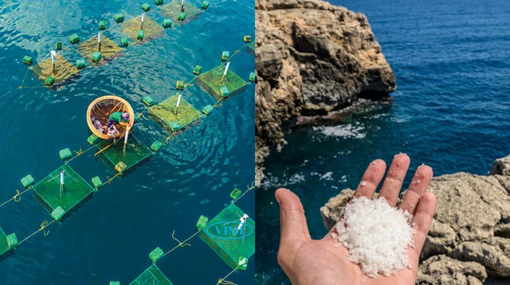 độ mặn của nước mặn