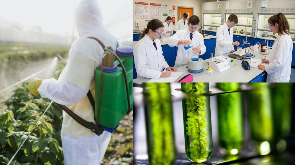 hóa chất trong đời sống