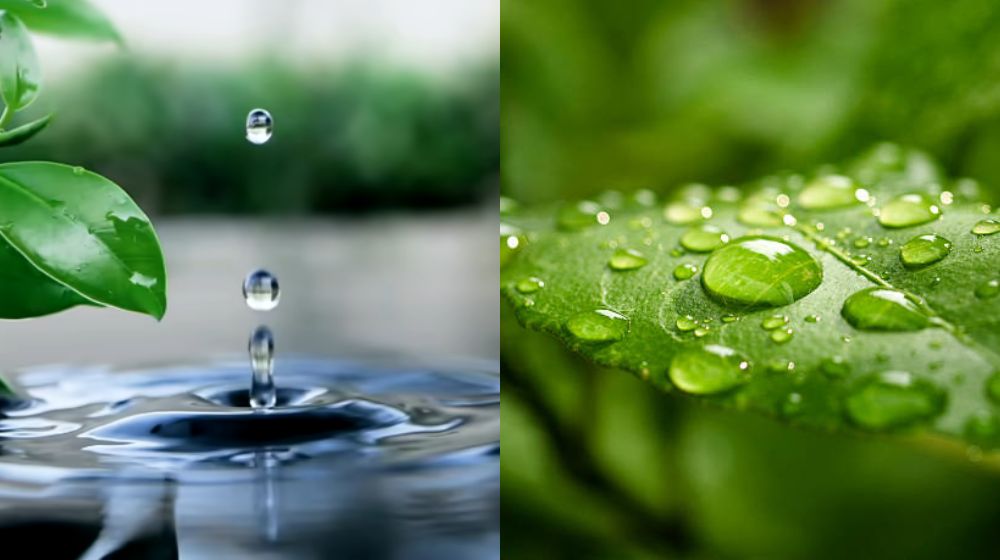 Nước sạch là gì - Thế nào là nước sạch nguồn nước sạch trong tự nhiên