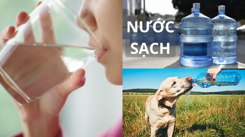 Nước sạch là gì - Thế nào là nước sạch nước sạch là gì