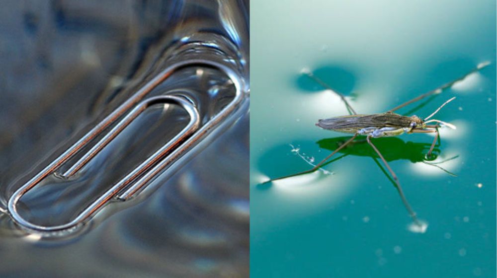 sức căng bề mặt của các loại chất lỏng