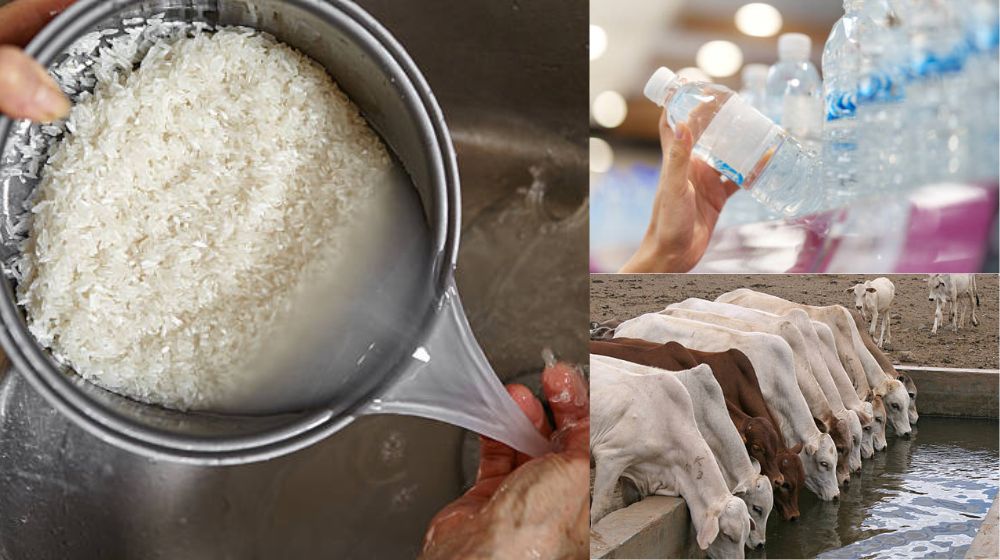 Nước sạch là gì - Thế nào là nước sạch ứng dụng của nước sạch