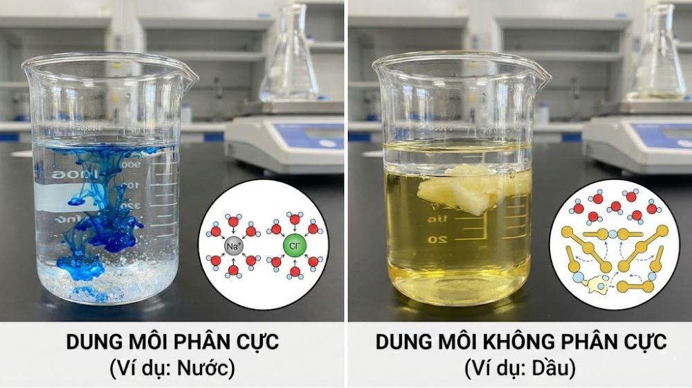 Dung môi là gì - 8 điều bổ ích các loại dung môi theo hằng số điện môi