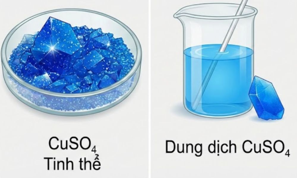 CuSo4 là chất gì - 10+ thông tin cần biết cuso4 là chất gì