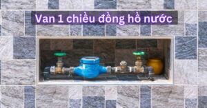 Đồng hồ nước có van 1 chiều không đồng hồ nước có van 1 chiều không