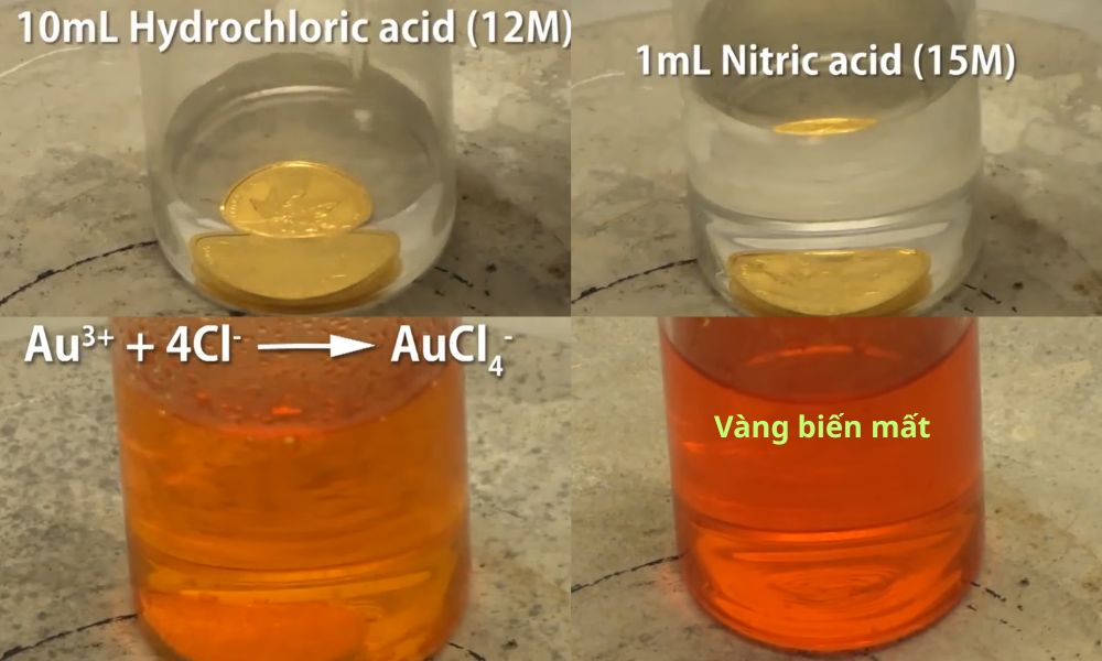 hành trình hòa tan vàng của nước cường toan
