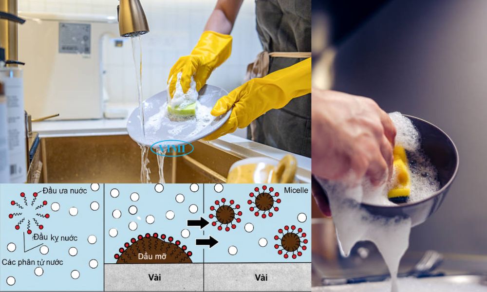 Chất giặt rửa tổng hợp - 15+ thông tin hữu ích tại sao hóa chất giặt rửa tổng hợp cuốn trôi được dầu mỡ