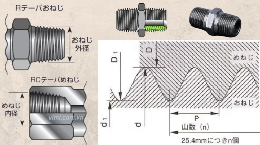 cấu tạo pt là ren gì