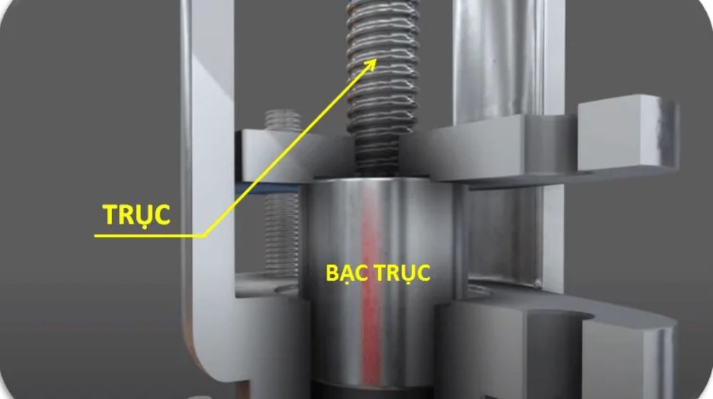 cau tao van cau phan truc