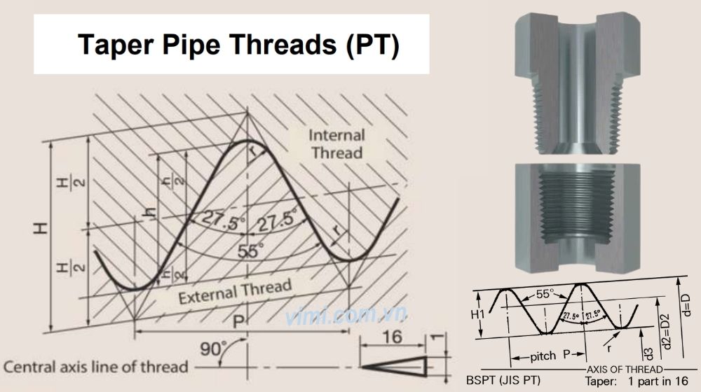 đặc điểm của pt là ren gì
