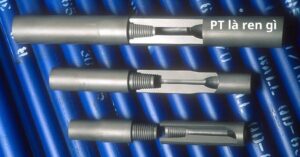 pt là ren gì
