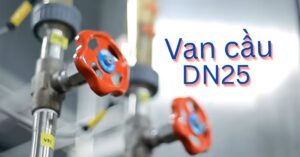 van cầu dn25 là gì