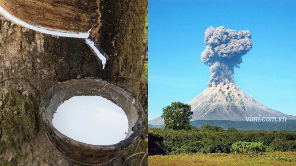 voc là gì ngoài tự nhiên