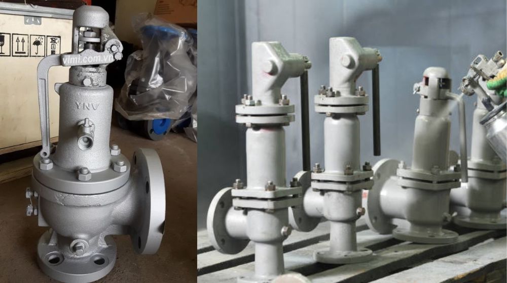 nhãn hiệu van an toàn dn100